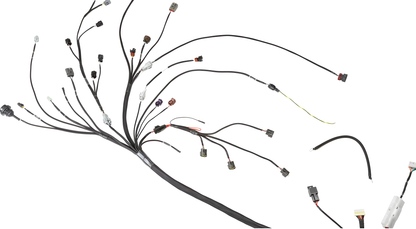 Wiring Specialties WRS-PROS15SR20-Z32 Main Product Photo