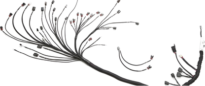 Wiring Specialties WRS-PROVH45-S14 Main Product Photo