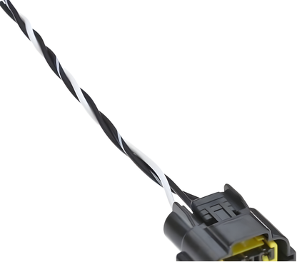 Wiring Specialties WRS-RB25MAFSS2-CON Main Product Photo