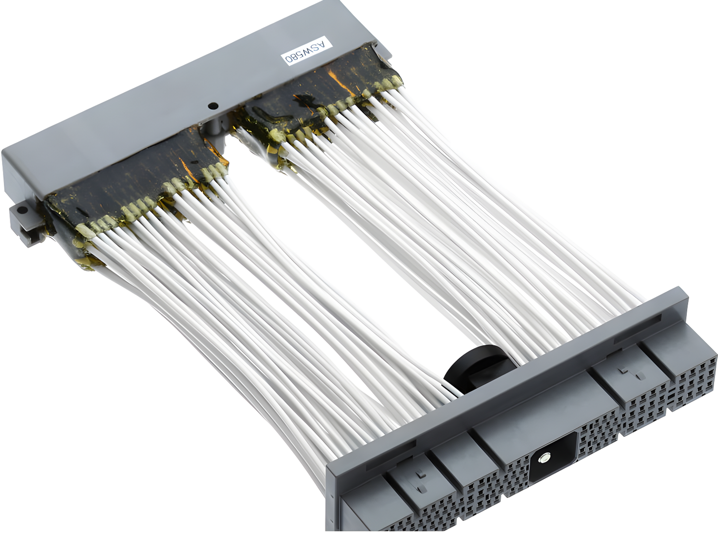 Wiring Specialties WRS-RB25NEO-PTC Main Product Photo