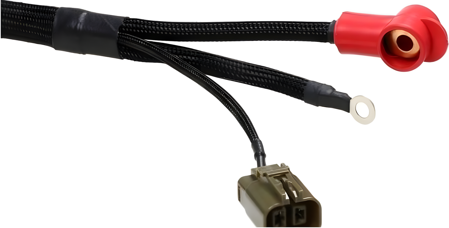 Wiring Specialties WRS-RB25S14-TRN Main Product Photo
