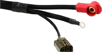 Wiring Specialties WRS-RB25S14-TRN Main Product Photo