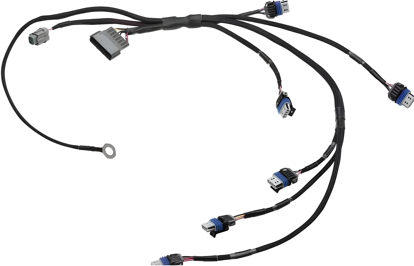 Wiring Specialties WRS-RB25S1LS2-COIL Main Product Photo