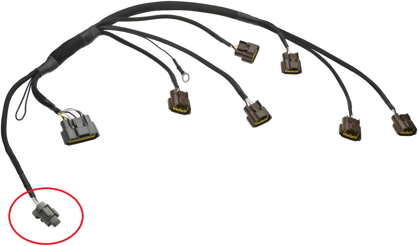Wiring Specialties WRS-RB25S1OEM-CPHPWR Main Product Photo
