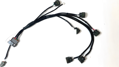Wiring Specialties WRS-RB25S1S2-COIL Main Product Photo