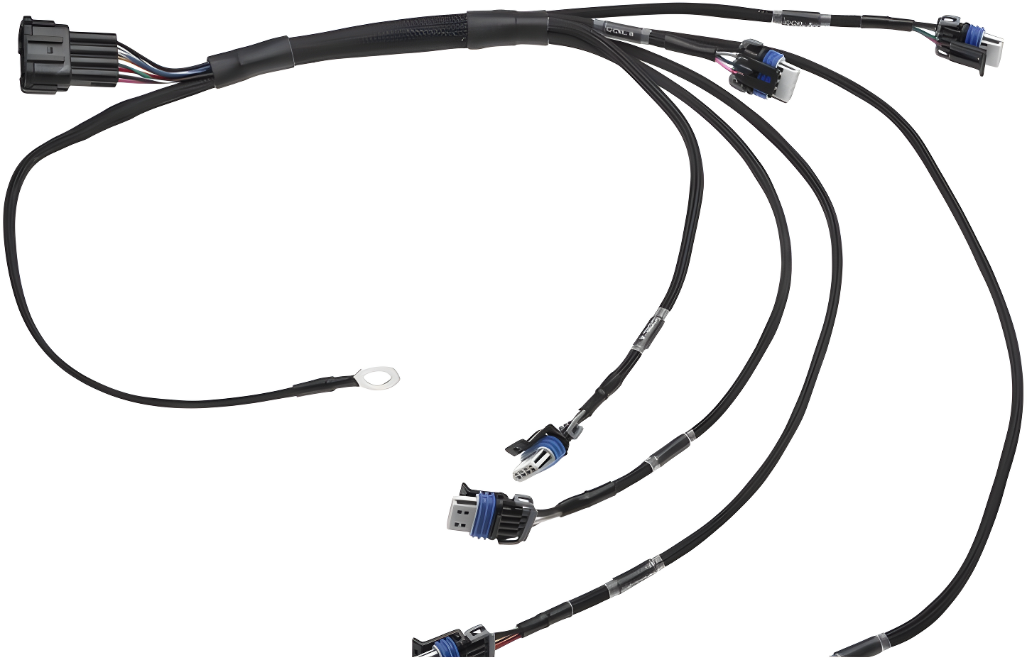 Wiring Specialties WRS-RB25S2LS2-COIL Main Product Photo