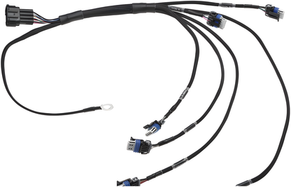 Wiring Specialties WRS-RB25S2LS2-COIL Main Product Photo