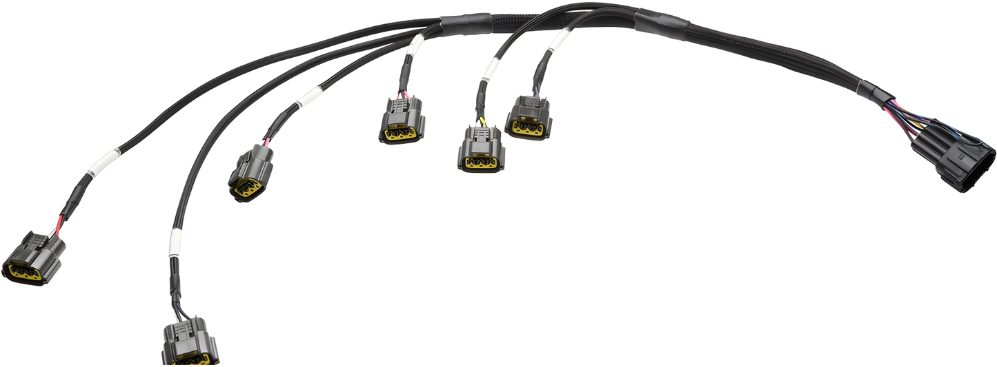 Wiring Specialties WRS-RB25S2VR38-COIL Main Product Photo