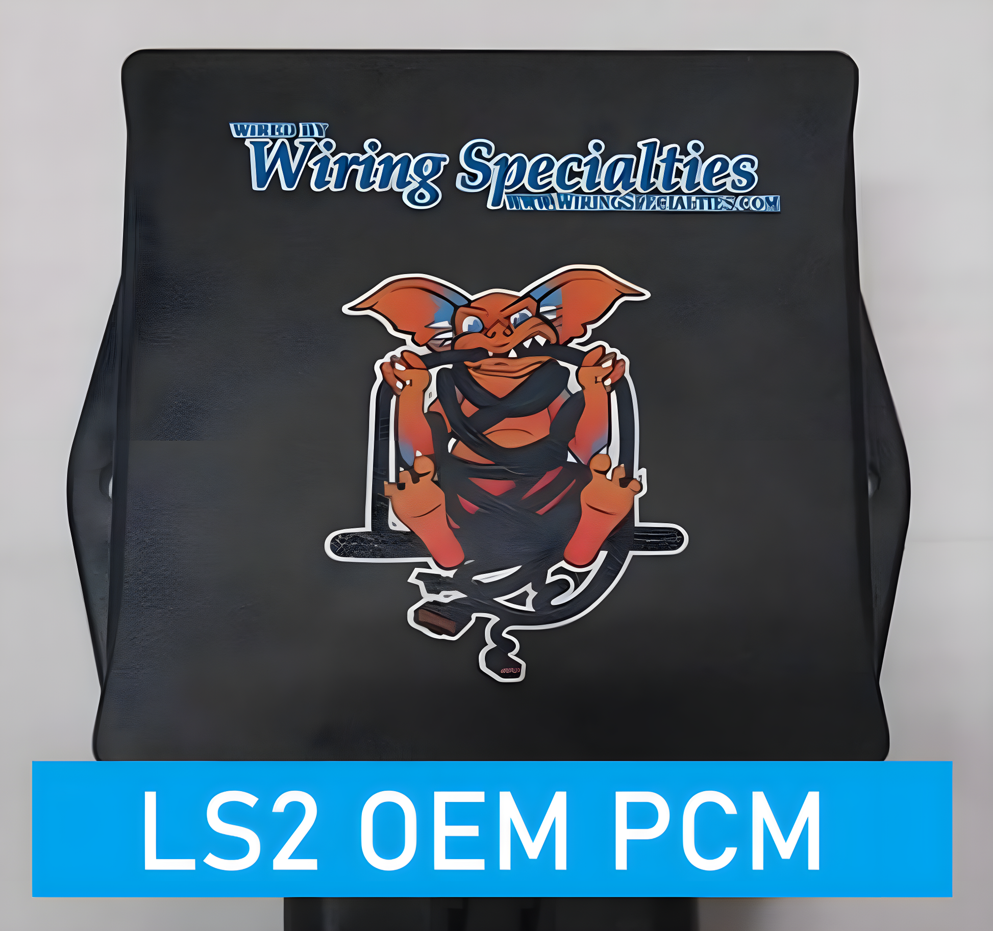 Wiring Specialties WRS-RV2-E46-LS2 Main Product Photo