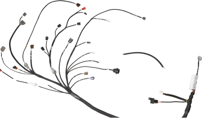 Wiring Specialties WRS-SR20-PRO-NA-UNI Main Product Photo