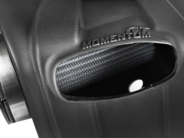 aFe  POWER 51-76101 Momentum GT Pro DRY S Cold Air Intake System