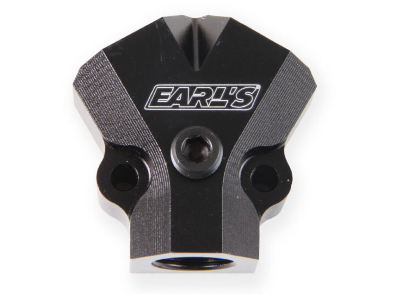 Earl's Fuel Fittings and Adapters 100176ERL Item Image