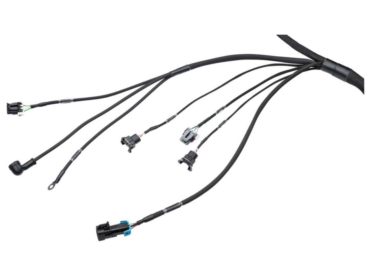 Wiring Specialties LS1 / Vortec Wiring Harness for Datsun - PRO SERIES