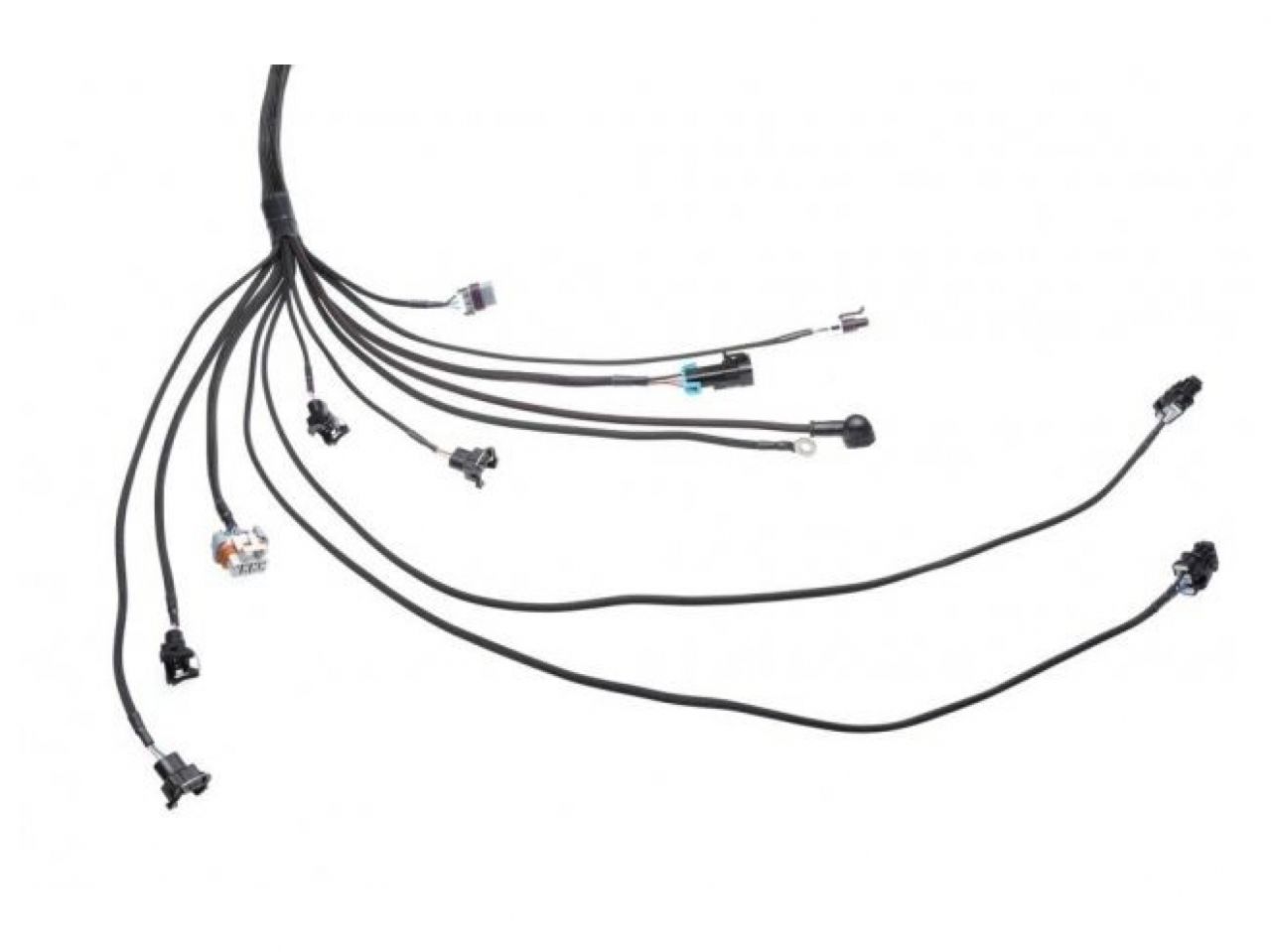 Wiring Specialties LS1 Wiring Harness for Datsun 240Z - PRO SERIES