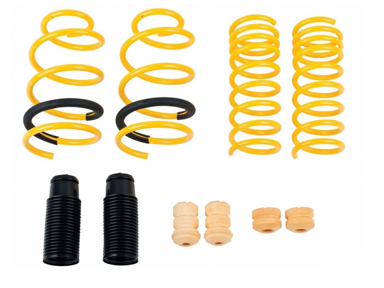 Mountune Lowering Springs 2363-MSK-AA Item Image