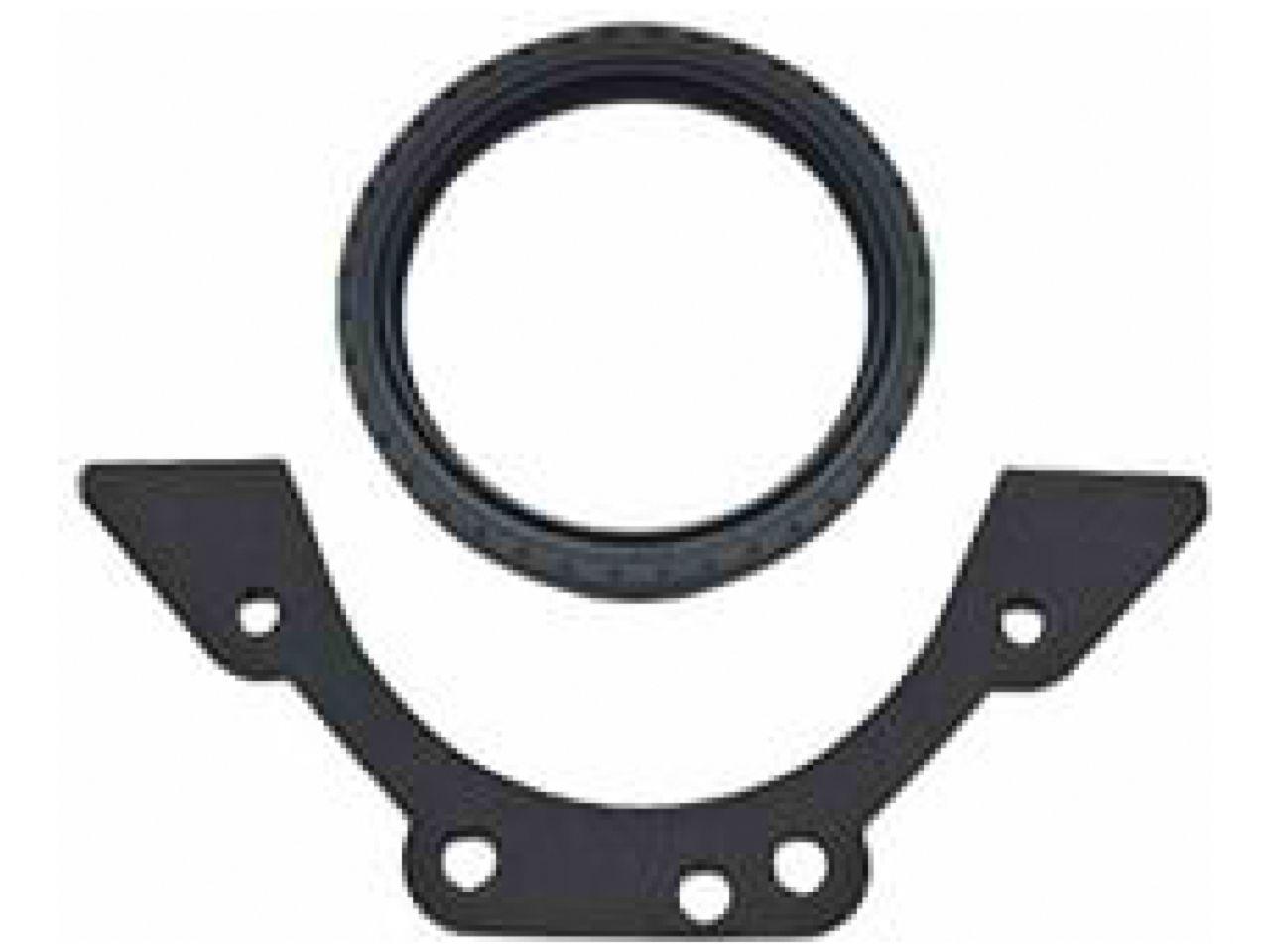 SCE Gaskets Main Seals 21155 Item Image