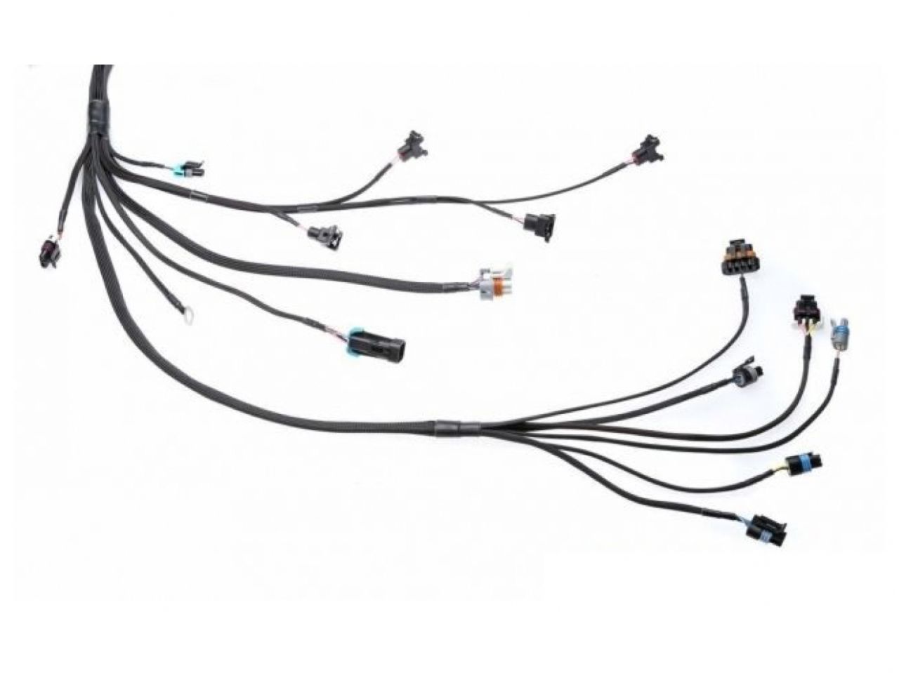 Wiring Specialties LS1 Wiring Harness for Chevrolet Monte Carlo (1970-1980) - PRO SERIES