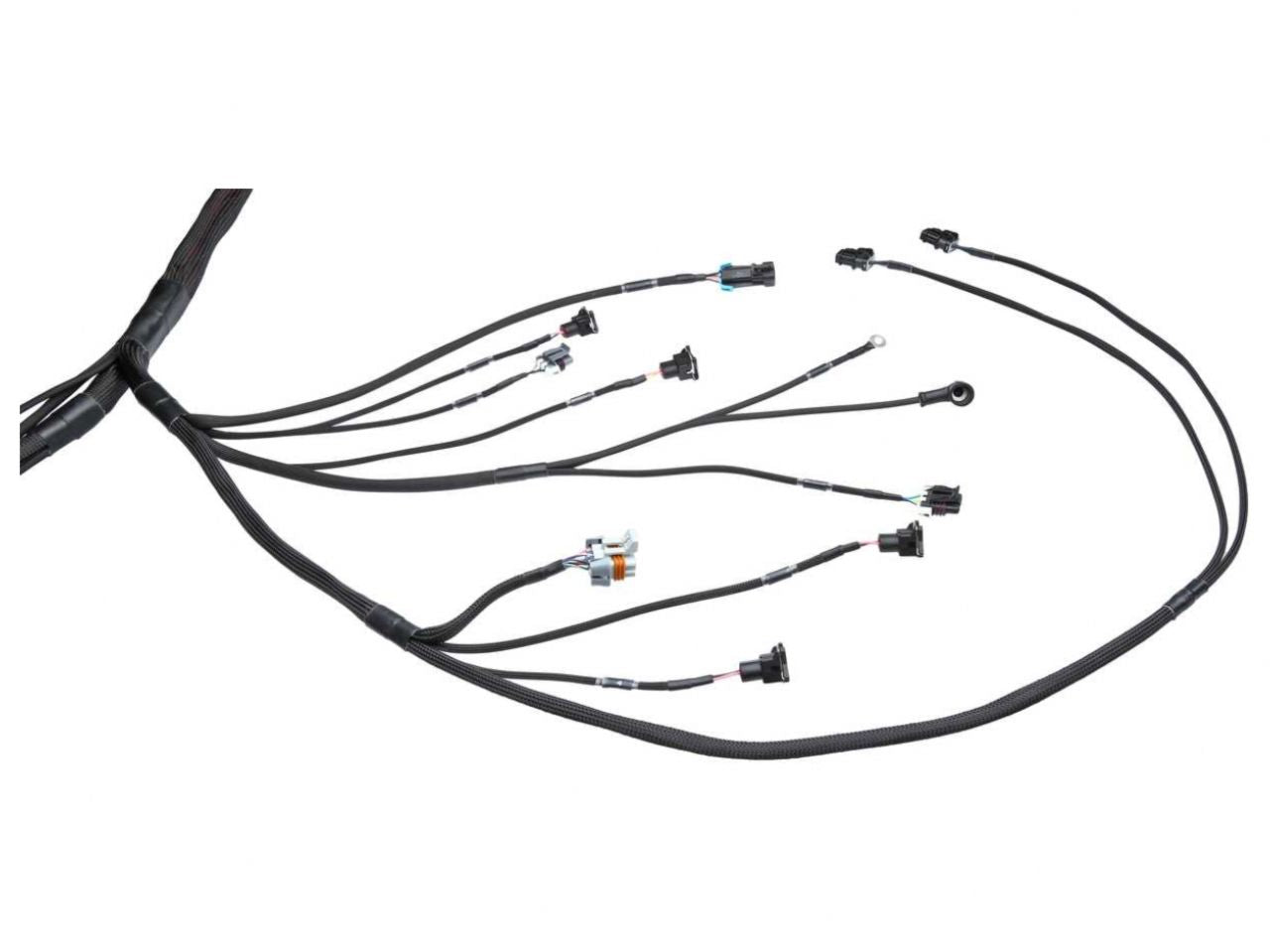 Wiring Specialties Standalone LS1 / Vortec Wiring Harness - PRO SERIES