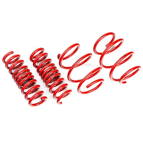 AST Suspension Tesla Model 3 Long Range AWD Lowering Springs - 25mm LS-19-206