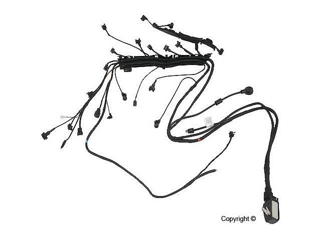 Genuine Parts Company Engine Harness-Original 1244402933 Item Image