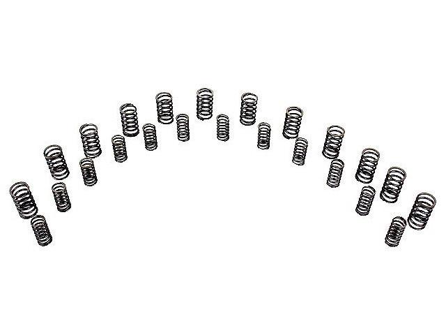 AE Valve Springs VSP480P Item Image