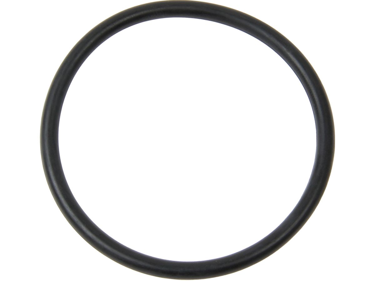 Rein Thermostat Gaskets 16055300 Item Image