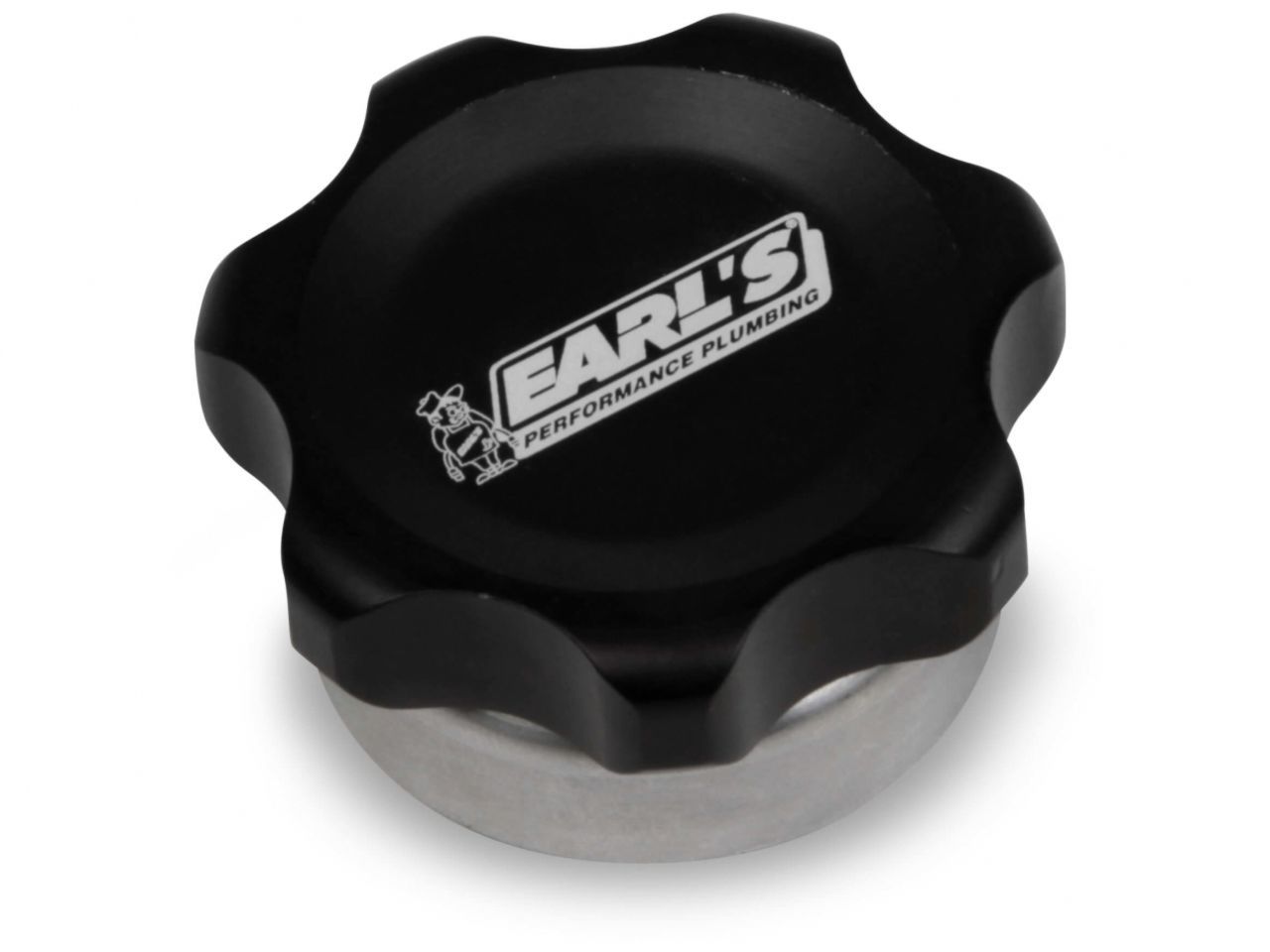 Earl's Steel Bungs 166019ERL Item Image