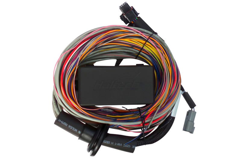 Haltech Elite 950 8ft Premium Universal Wire-In Harness HT-140704