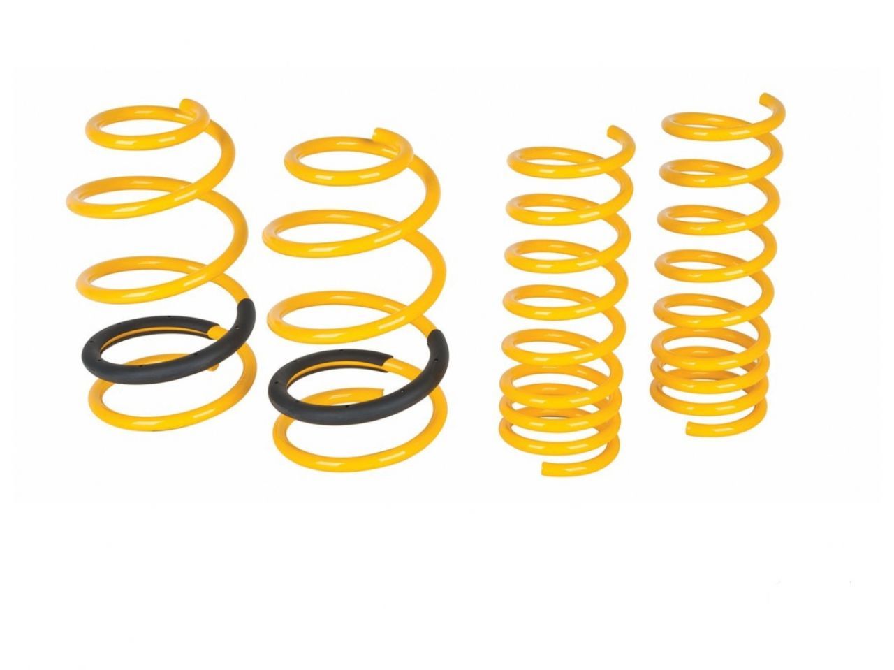 Mountune Sport Spring Set 2013 Focus ST