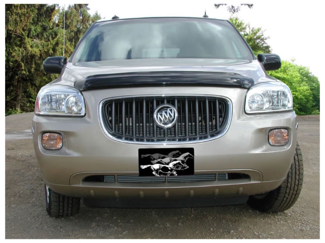 Stampede Vigilante Premium Hood Protector,Smoke,For 2005-2008 Buick Terraza