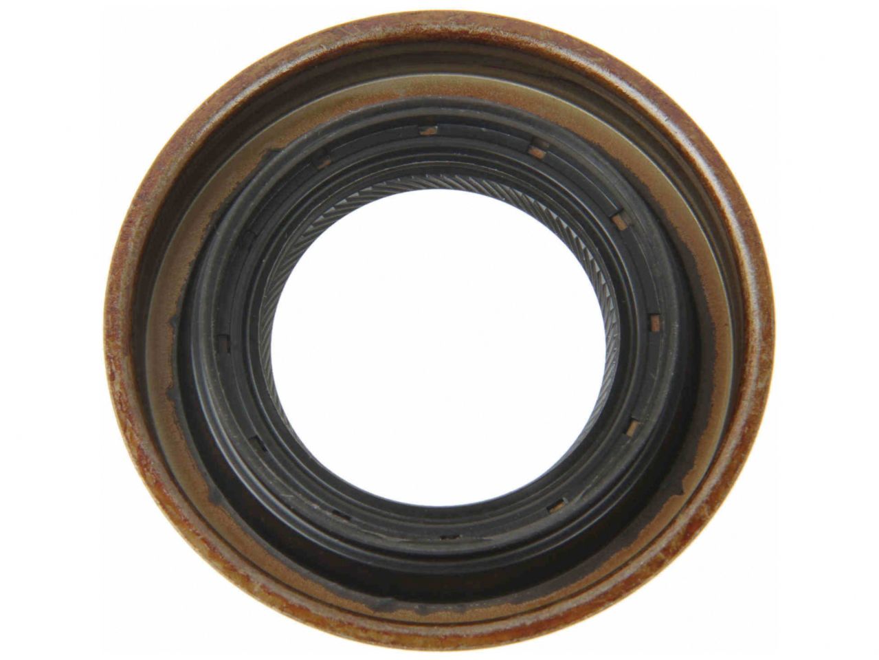 Corteco Differential Pinion Seal