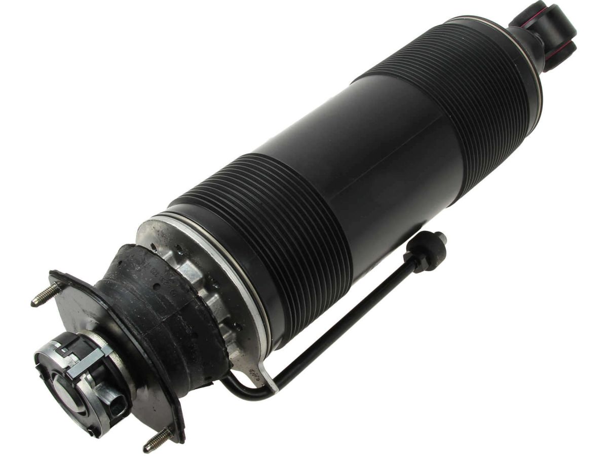 Genuine Parts Company Suspension Strut Assembly