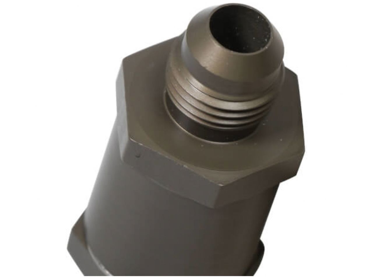 Earl's -10 Ultra Pro Hinge Type Check Valve