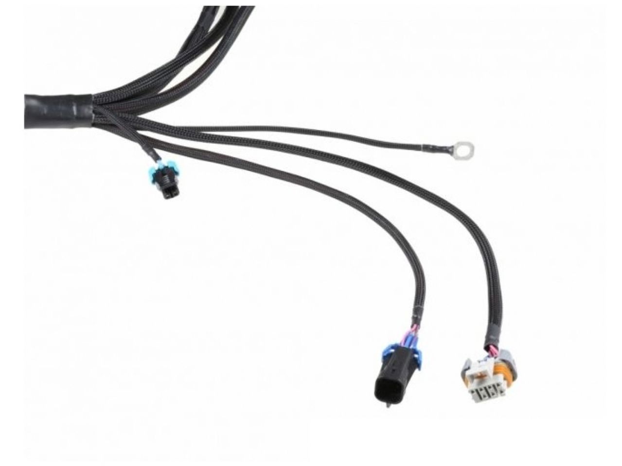 Wiring Specialties LS1 / Vortec Wiring Harness for S13 240sx - PRO SERIES