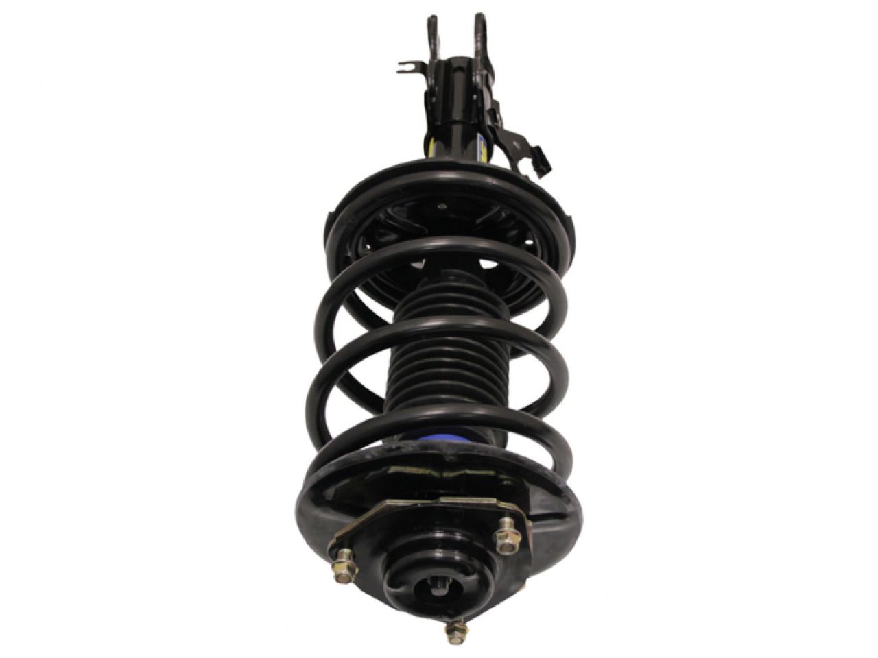 Moog Strut and Coil Spring Assembly