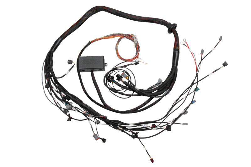 Haltech HAL Elite 1000/1500 Term Harns Engine Components Wiring Harnesses main image