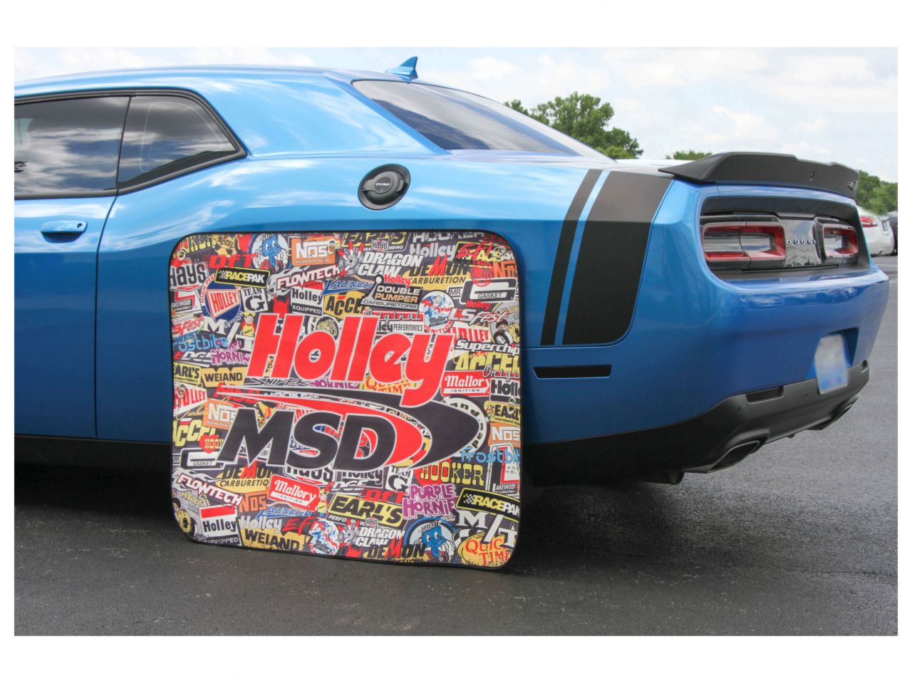 Holley Stickerbomb Tire Shade