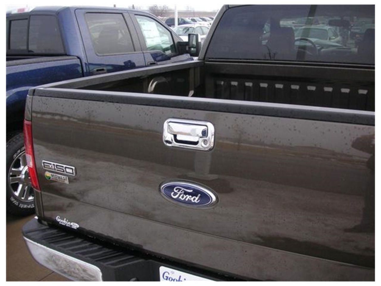 Putco Tailgate & Rear Handle Covers, Ford F150 (w/Backup Camera & Keyhole)