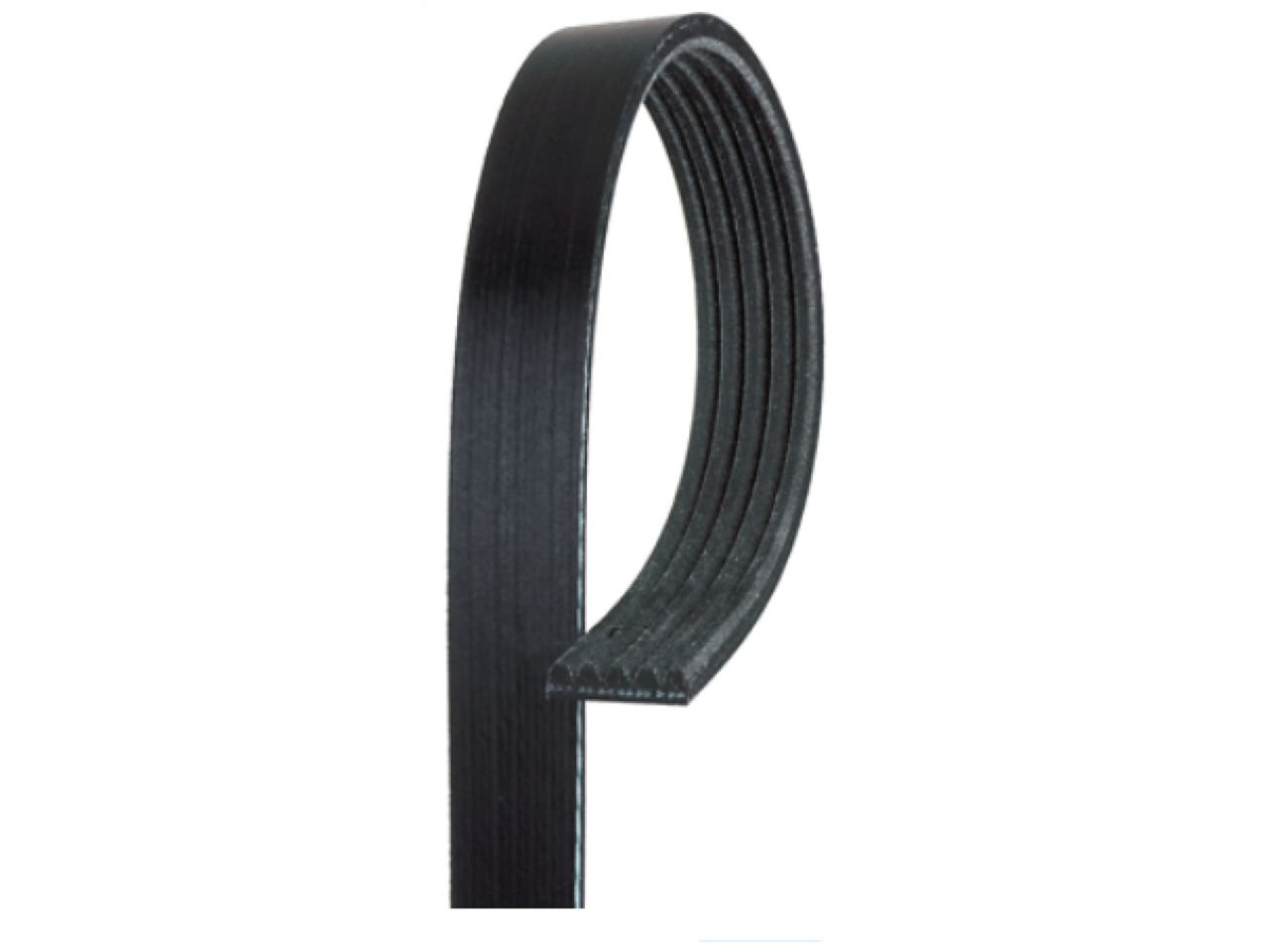 Gates Micro-V Belts-7 Ribs-77.48 in Length