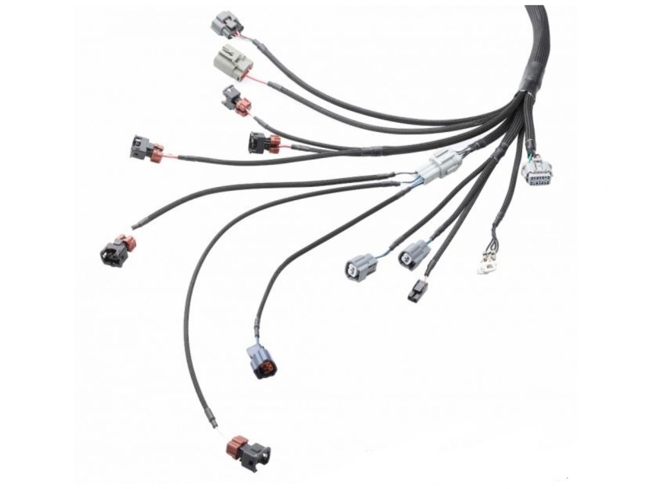 Wiring Specialties Universal / Standalone Wiring Harness for RB26DETT - PRO SERIES