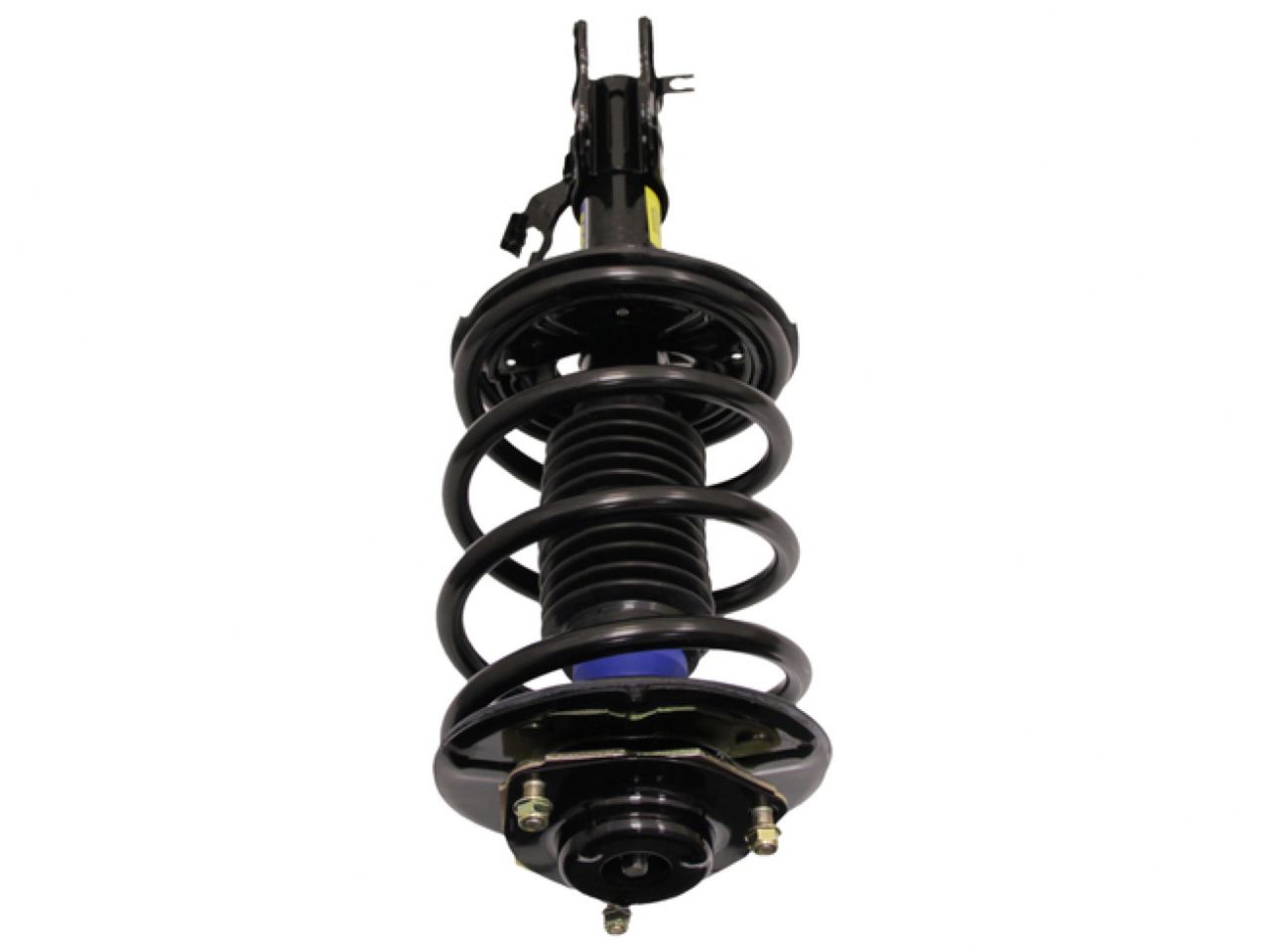 Moog Strut and Coil Spring Assembly