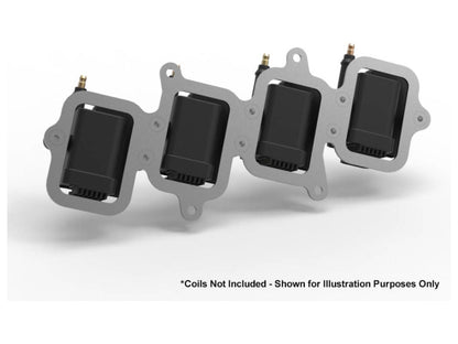 Holley Smart Coil Remote Coil Relocation Brackets - Natural Finish