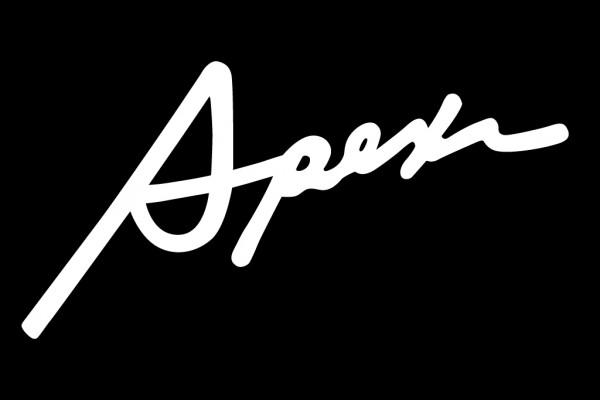 Apexi A'PEXi Cursive Logo Decal