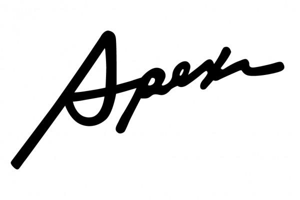 Apexi A'PEXi Cursive Logo Decal