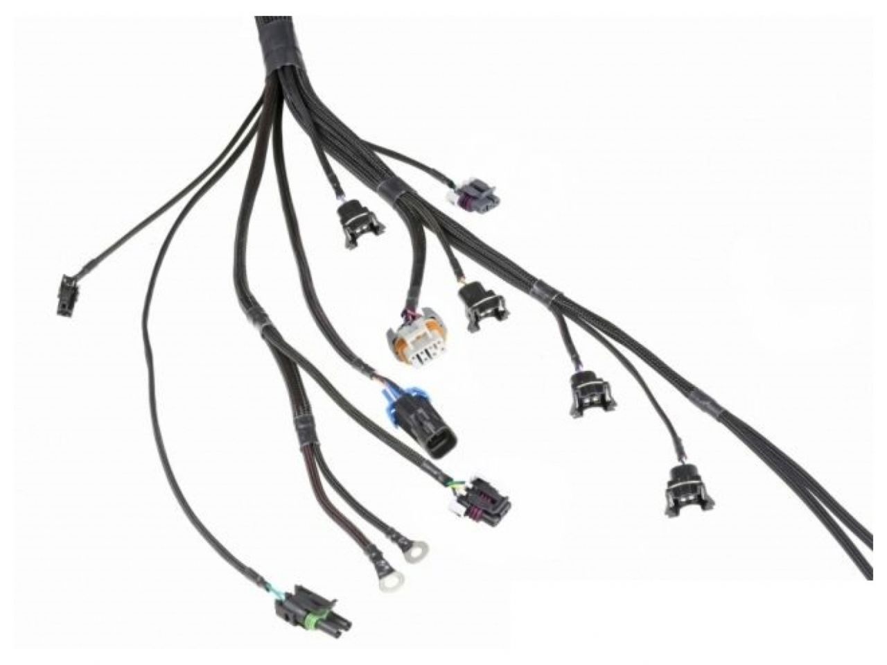 Wiring Specialties LS1 / Vortec Wiring Harness for S13 240sx - PRO SERIES