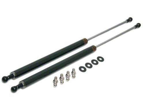 Circuit Sports Hood Dampers RHD-N13B-TP Item Image