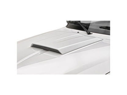 3D Carbon Hood Scoops 691278 Item Image