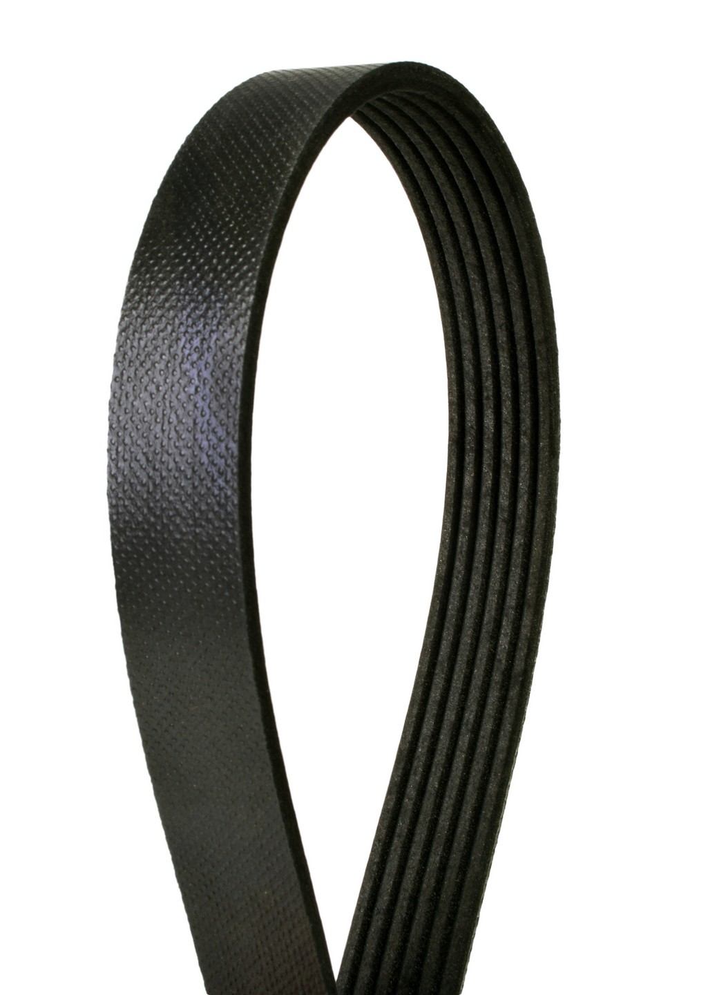 Continental Serpentine Belt  top view frsport 4060408S