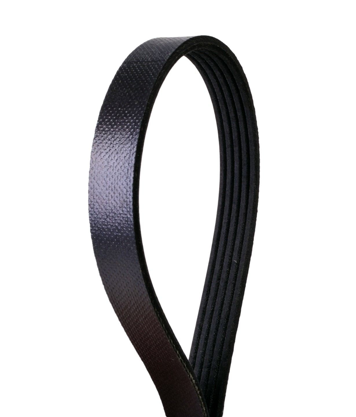 Continental Serpentine Belt  top view frsport 5K768