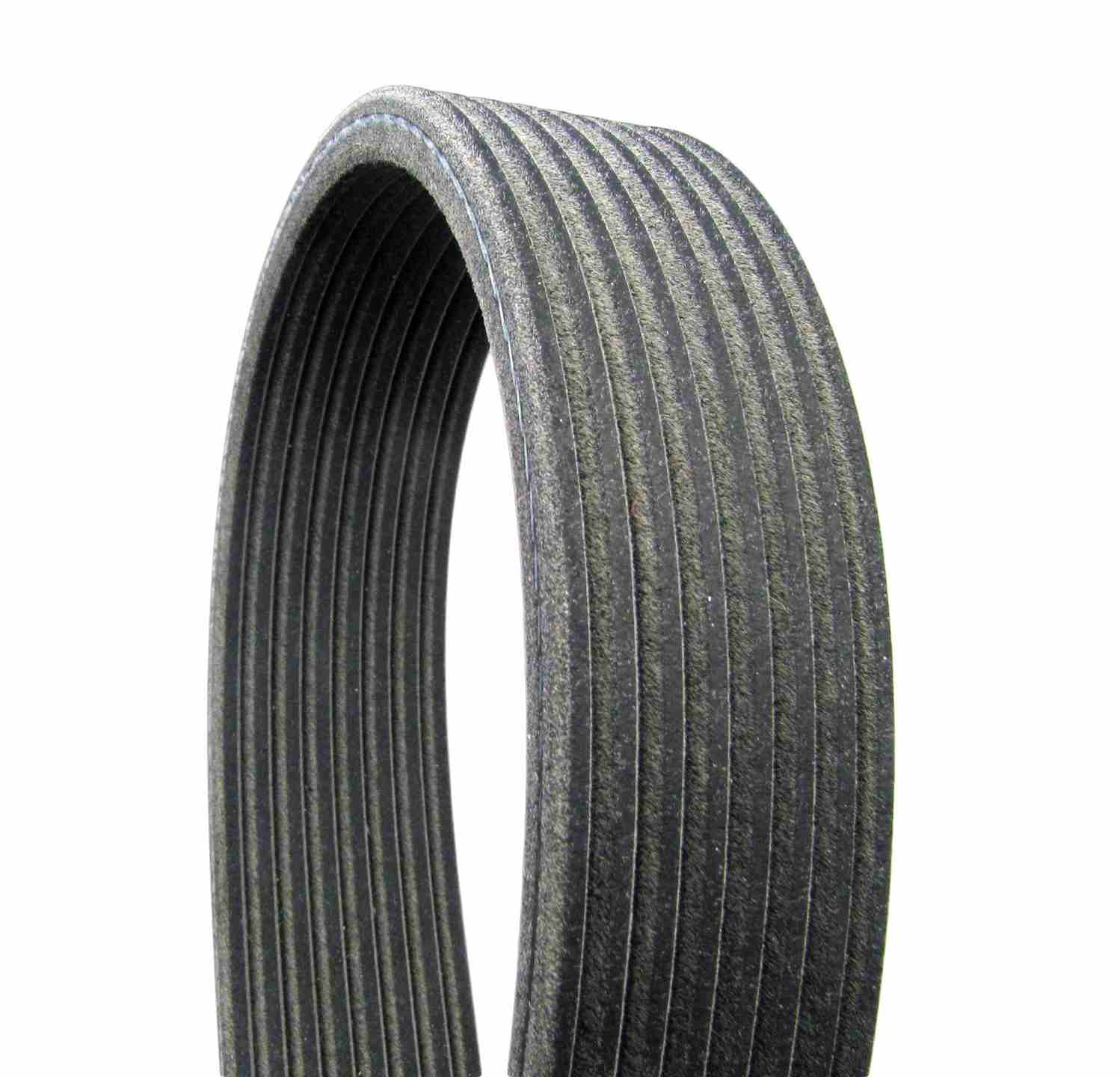 Continental Serpentine Belt  top view frsport 8DK1412